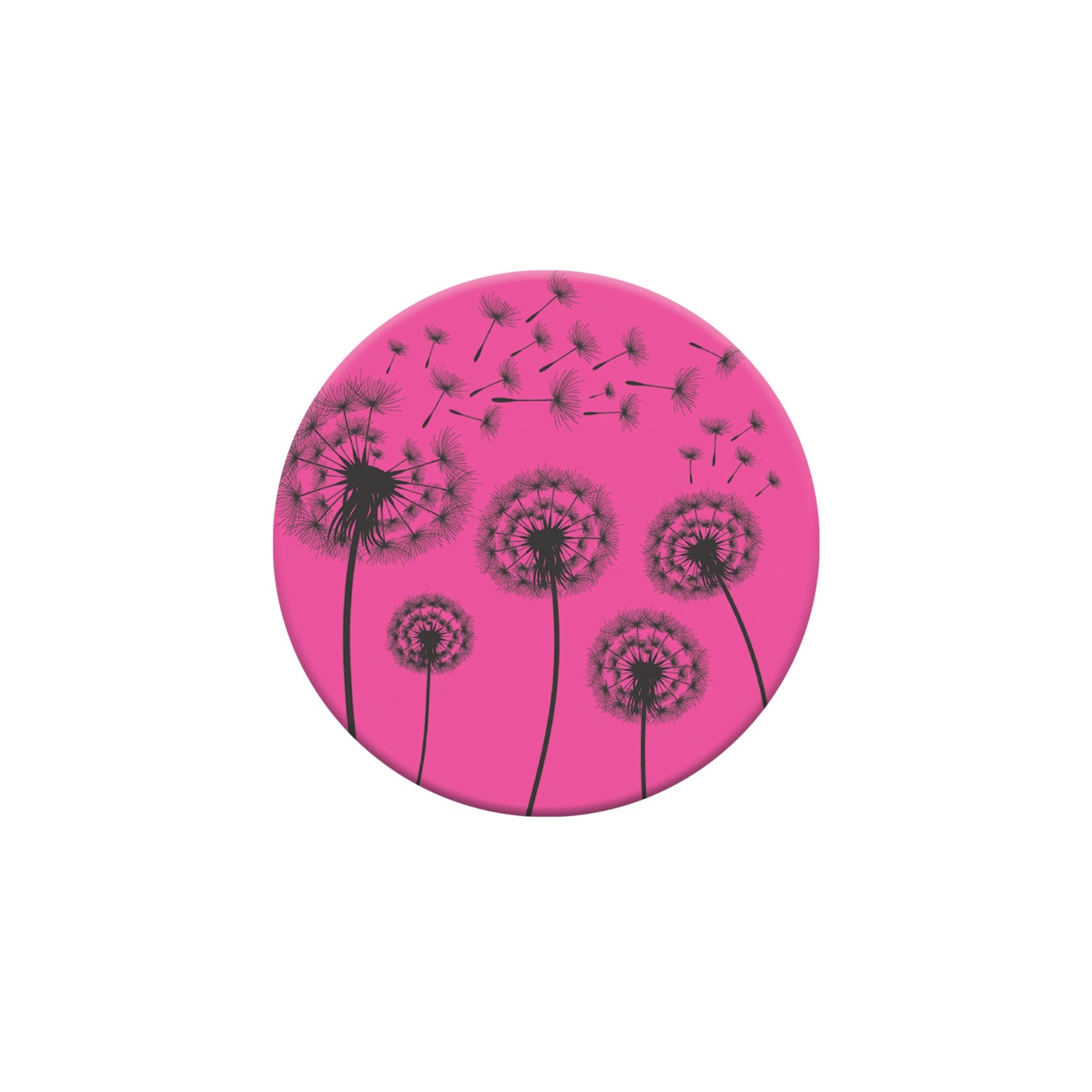 062_dandelions_Overpatch_Libre_2