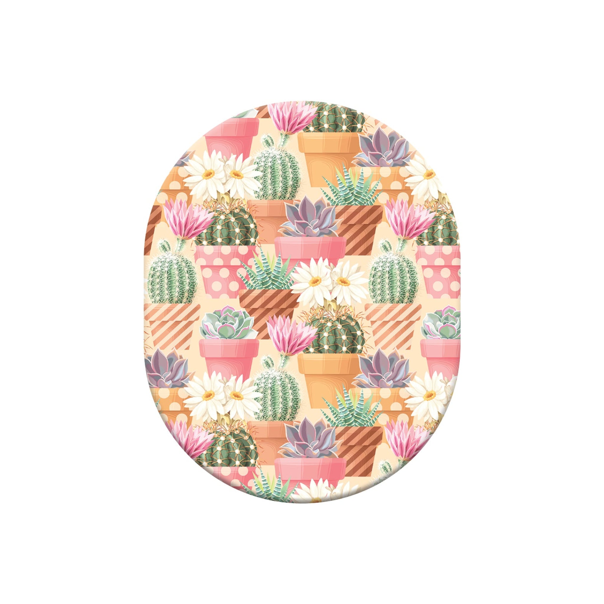065_succulents_Guardian