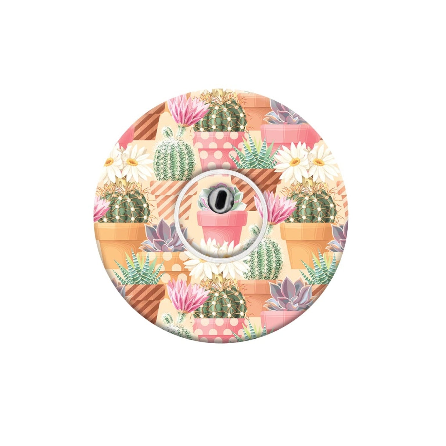 065_succulents_Libre_3