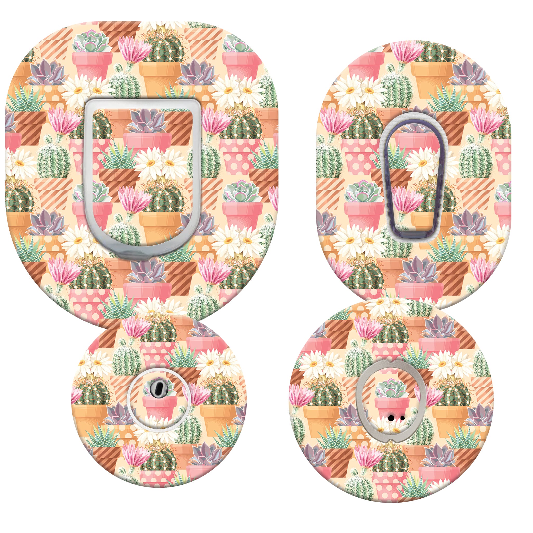 065_succulents_Main_Menu_Regular