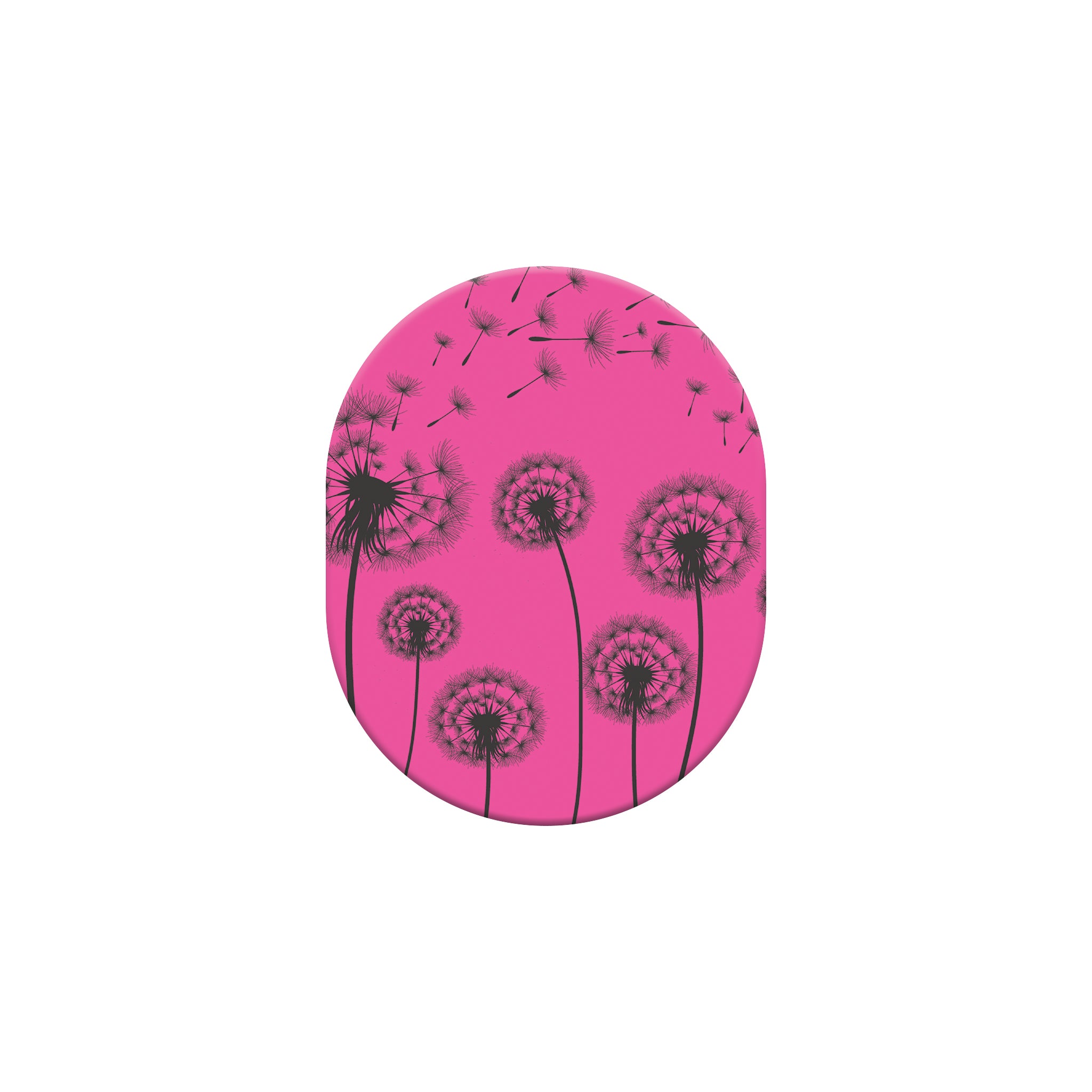 062_dandelion_Guardian