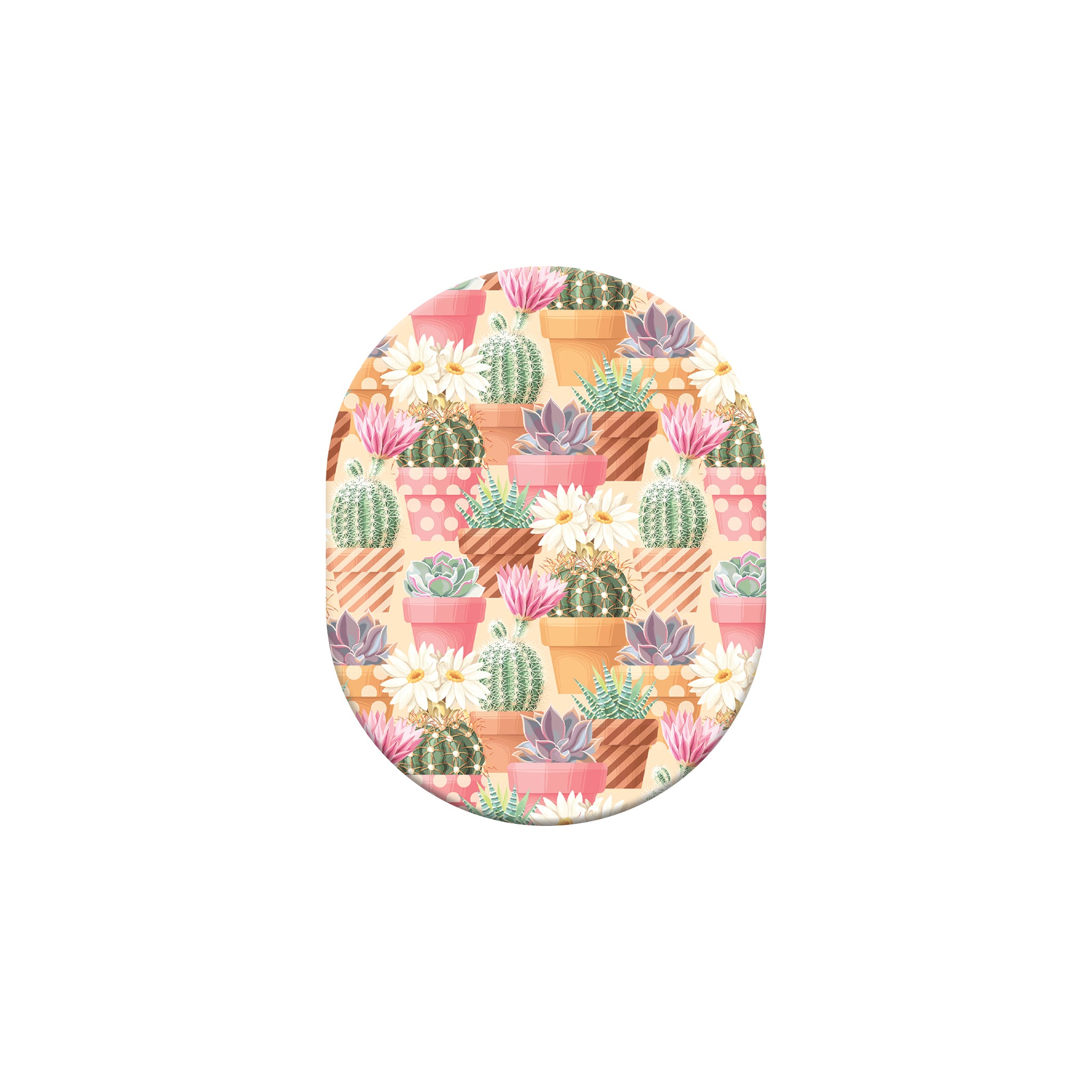 065_succulents_Guardian