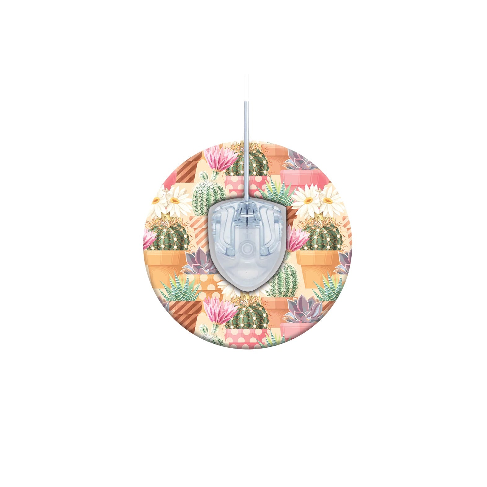 065_succulents_Infusion_Set