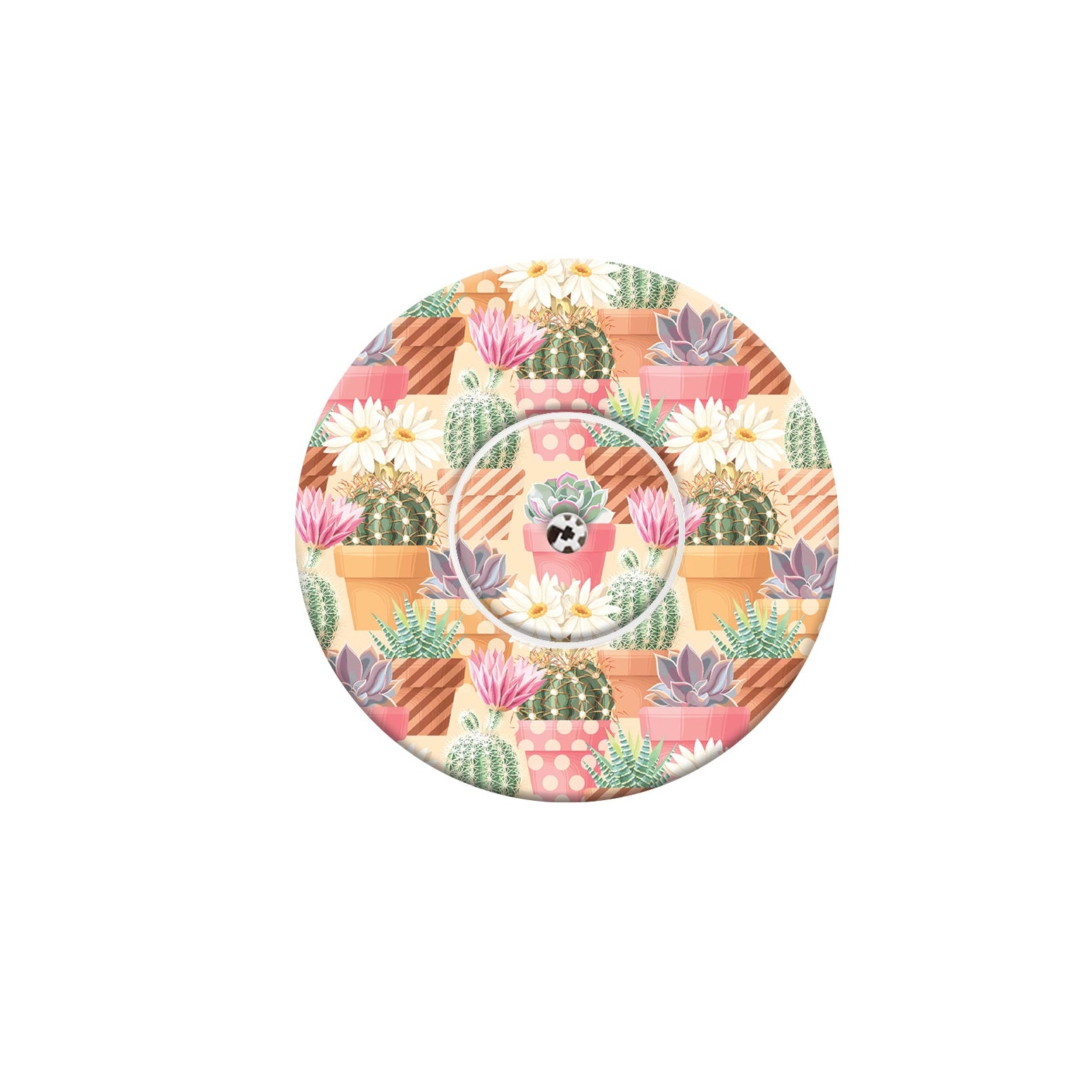 065_succulents_Libre_2