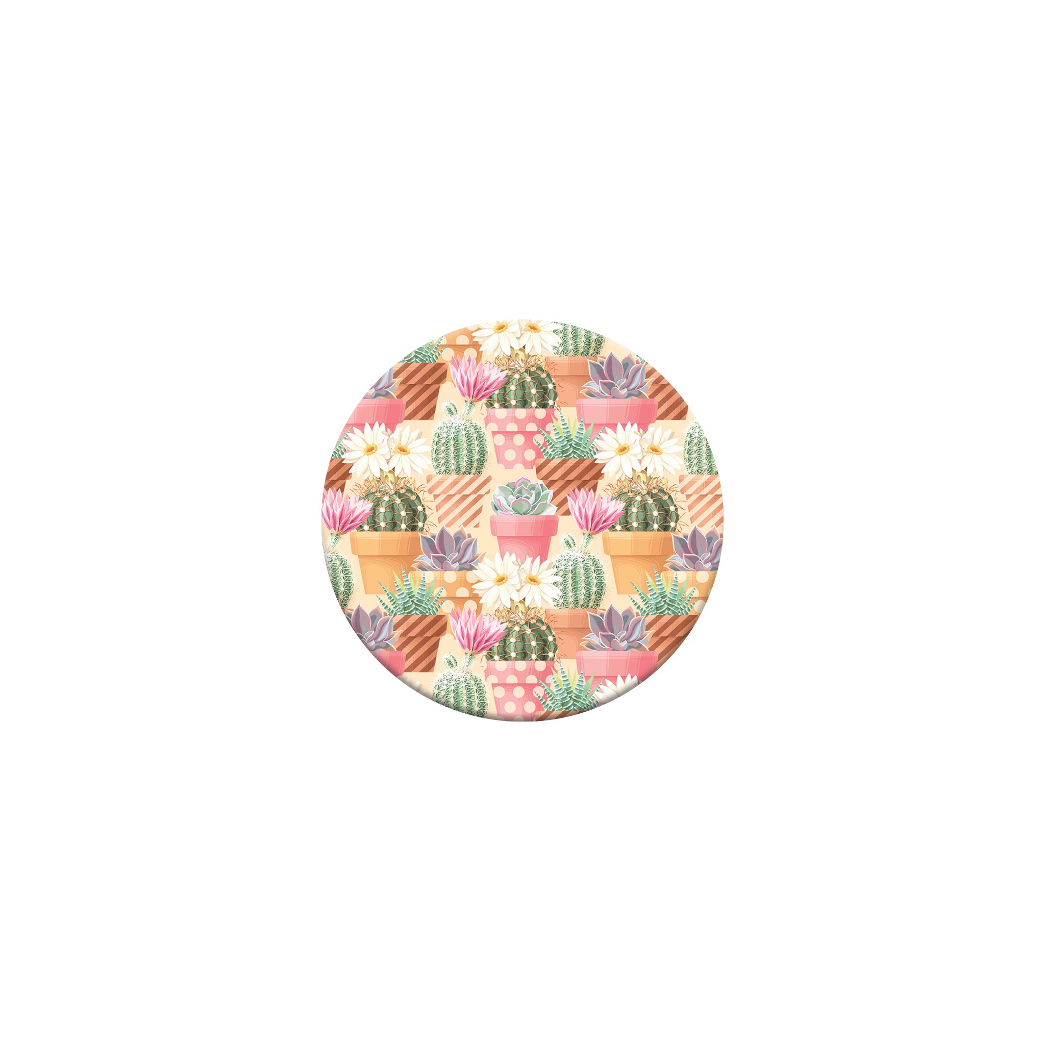 065_succulents_Overpatch_Libre_2_2